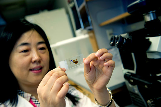 Alzheimer’s and Dementia Research: Five Things We Learned in 2019 - The Curiosity Box