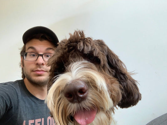 Do All Humans Like Smooching And Pets? - The Curiosity Box