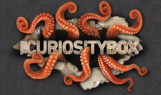 Everything Inside The Summer Curiosity Box - The Curiosity Box