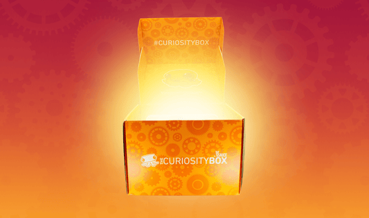 Inside The Fall Box - The Curiosity Box
