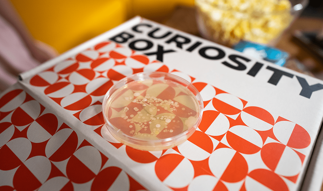 The Guide To Identifying Your New Bacteria Samples - The Curiosity Box