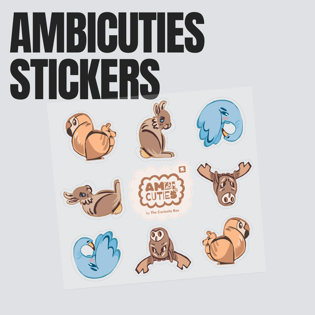 Curiosity Box Subscription