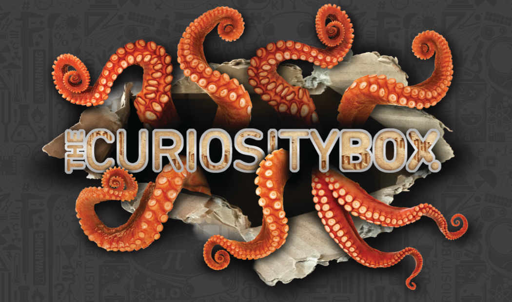 Everything Inside The Summer Curiosity Box