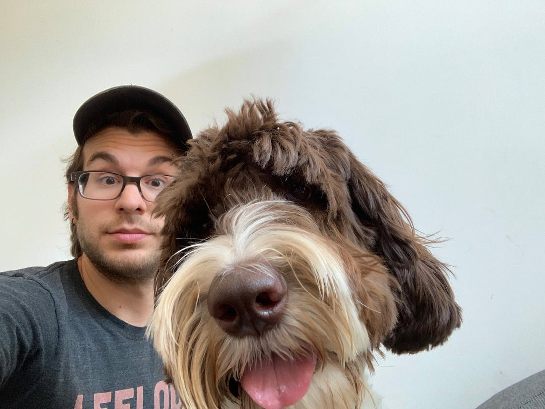 Do All Humans Like Smooching And Pets? - The Curiosity Box