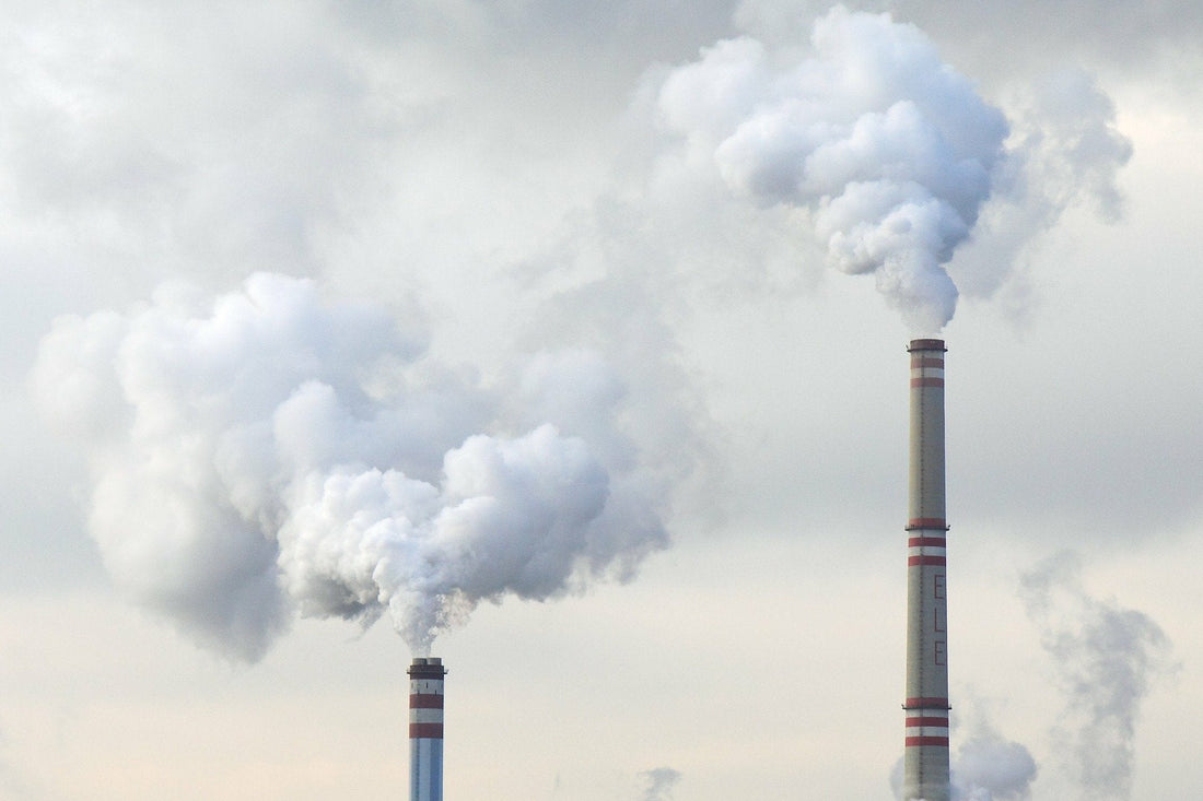 THE INQ REPORT: New Fossil Fuel Alternative on the Horizon - The Curiosity Box