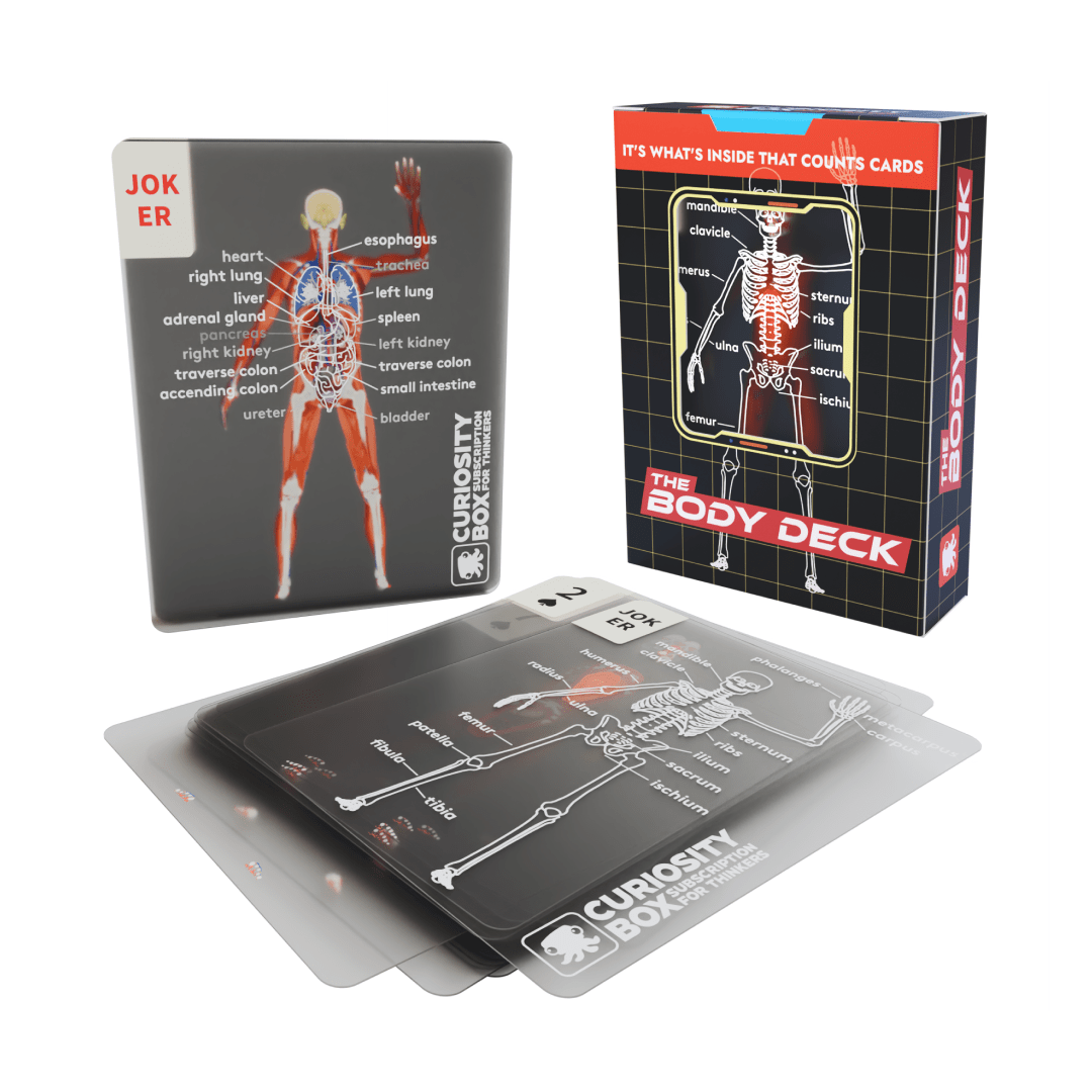 The Body Deck – The Curiosity Box