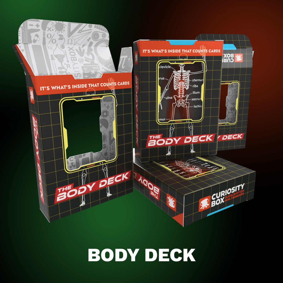 The Body Deck