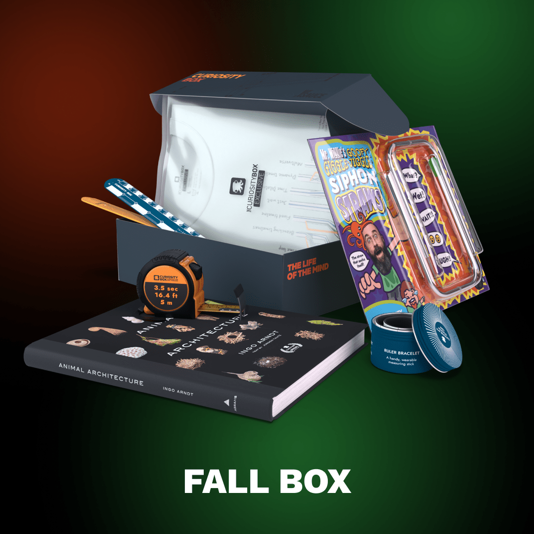 4 Boxes Bundle – The Curiosity Box