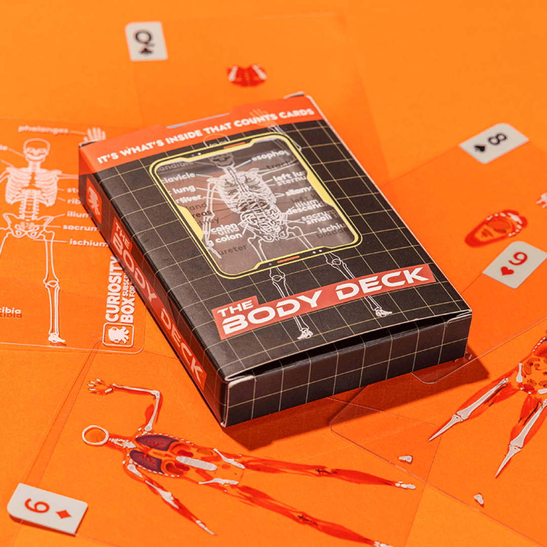 Body Deck
