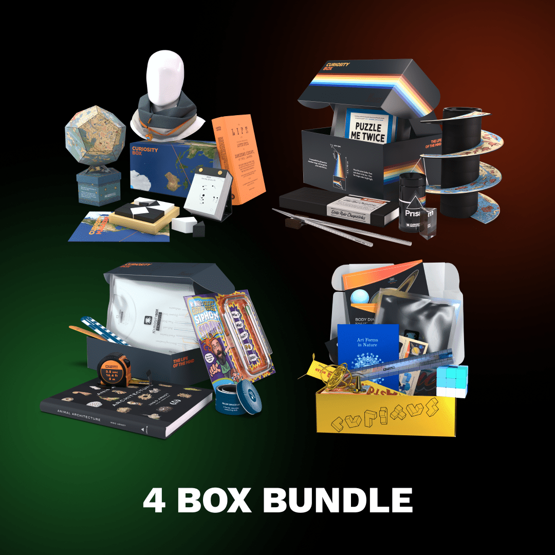 4 Boxes Bundle