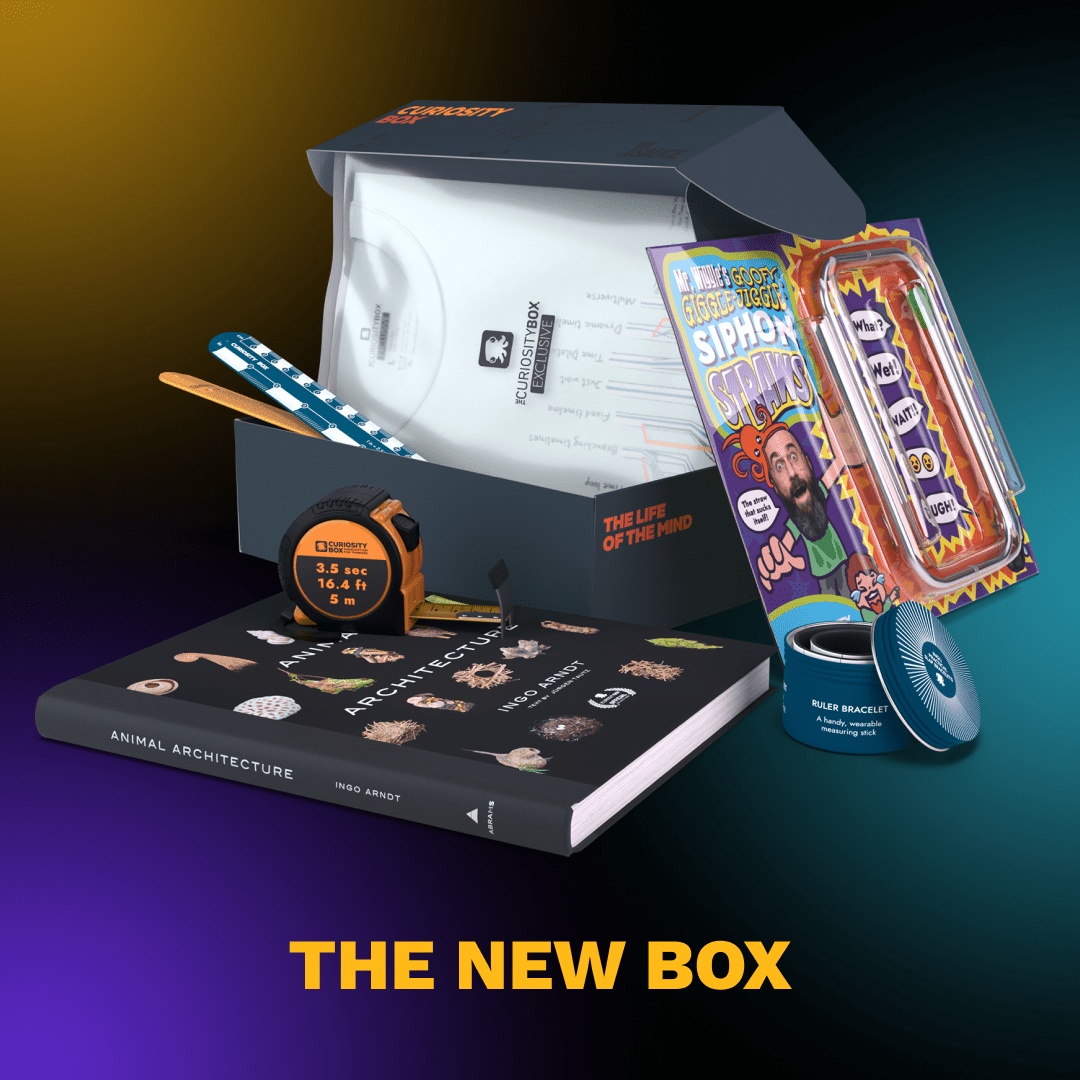Curiosity Box - Annual Plan