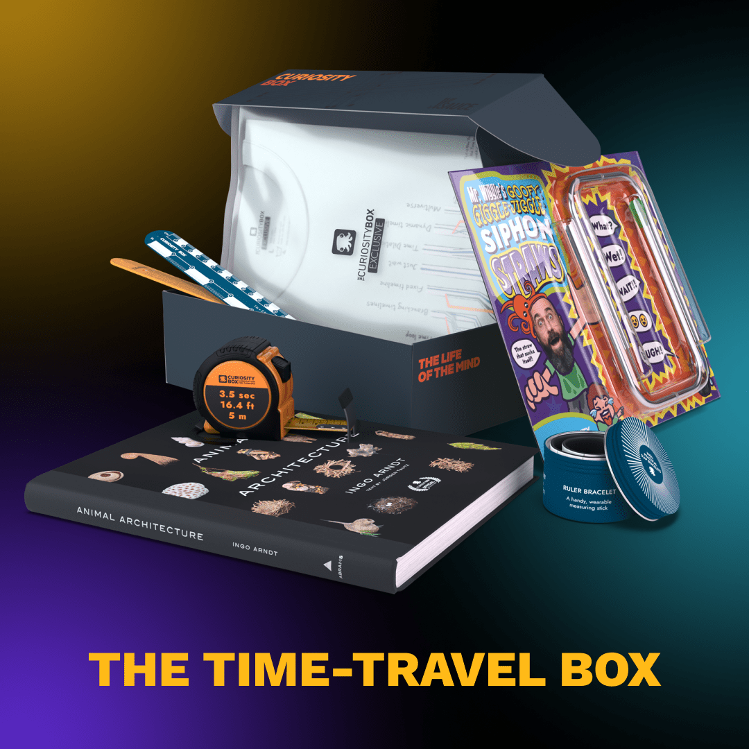 The Time-travel box