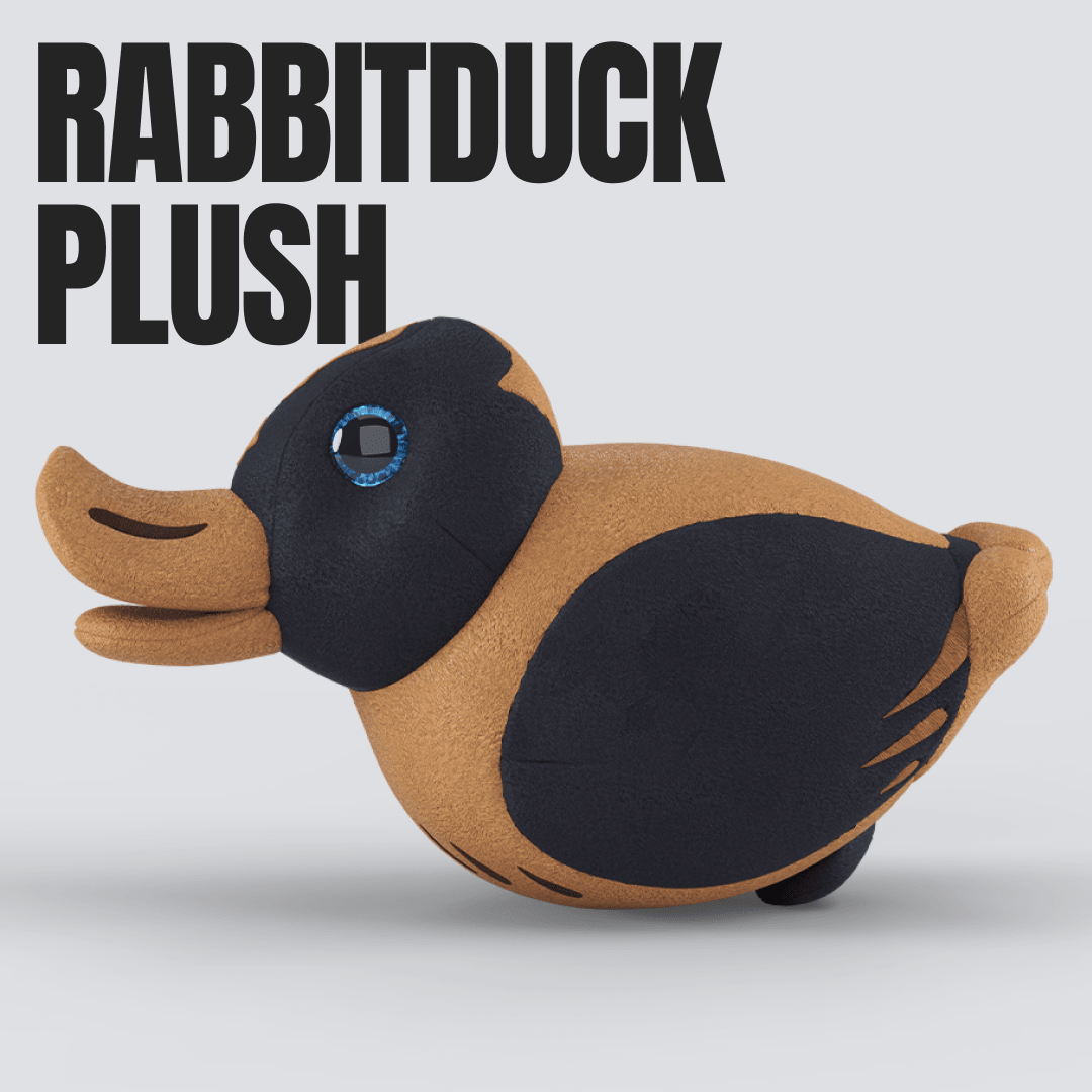 Curiosity Box Subscription